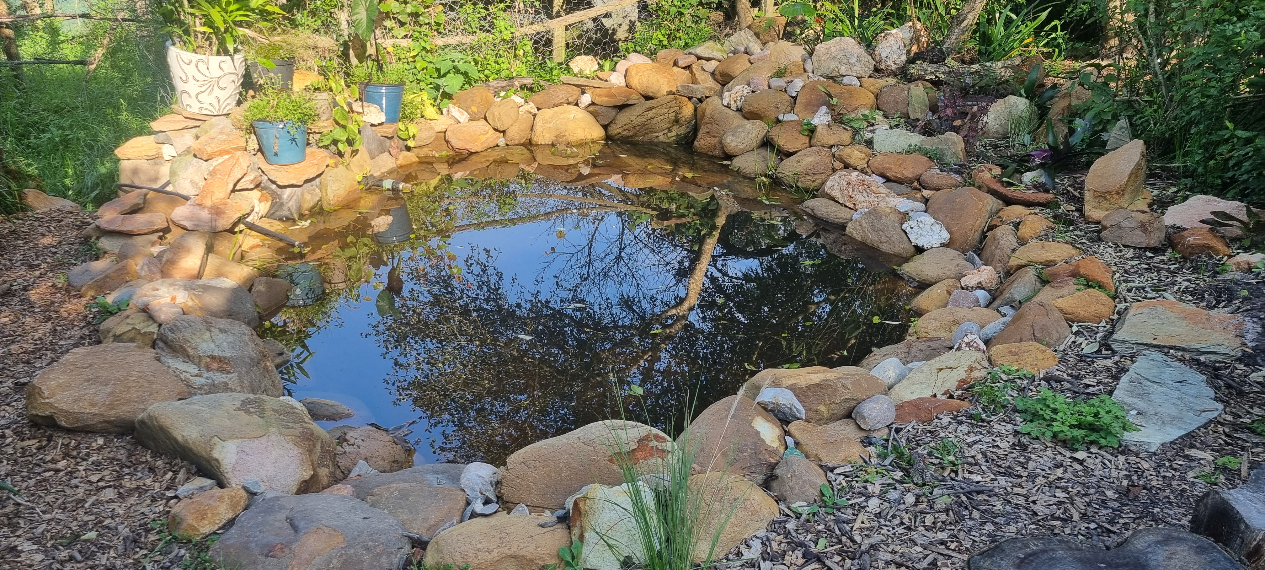 Dam-Fed Eco Pool & Nursery Loop