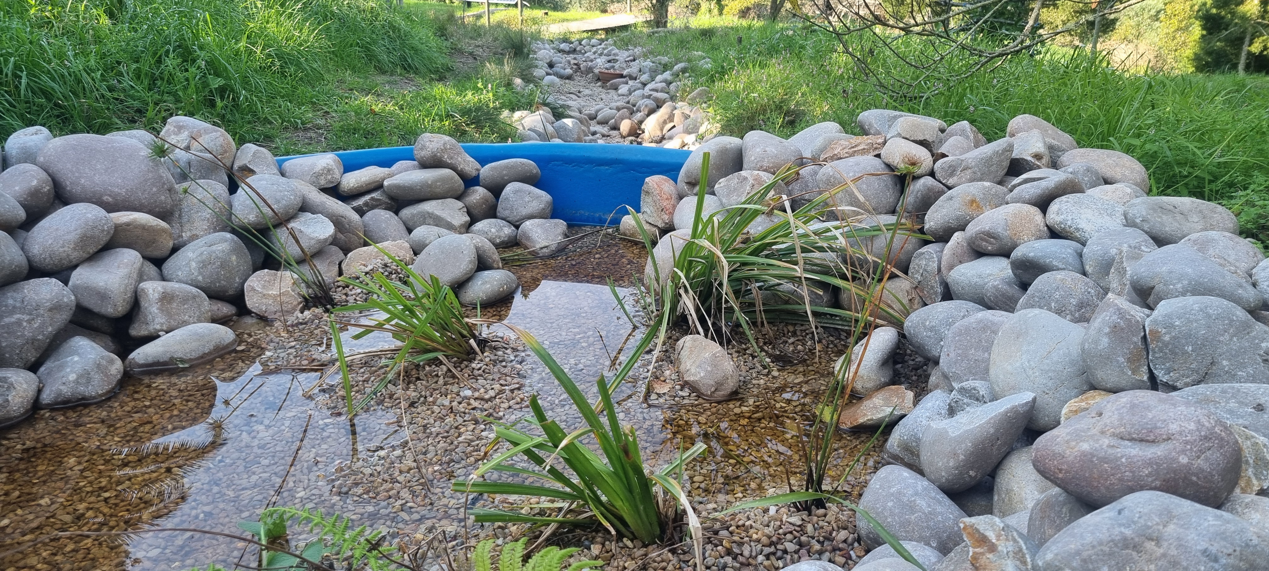 Pool water flows out through a gravel filtration bed, which polishes it biologically before it re-enters the landscape.