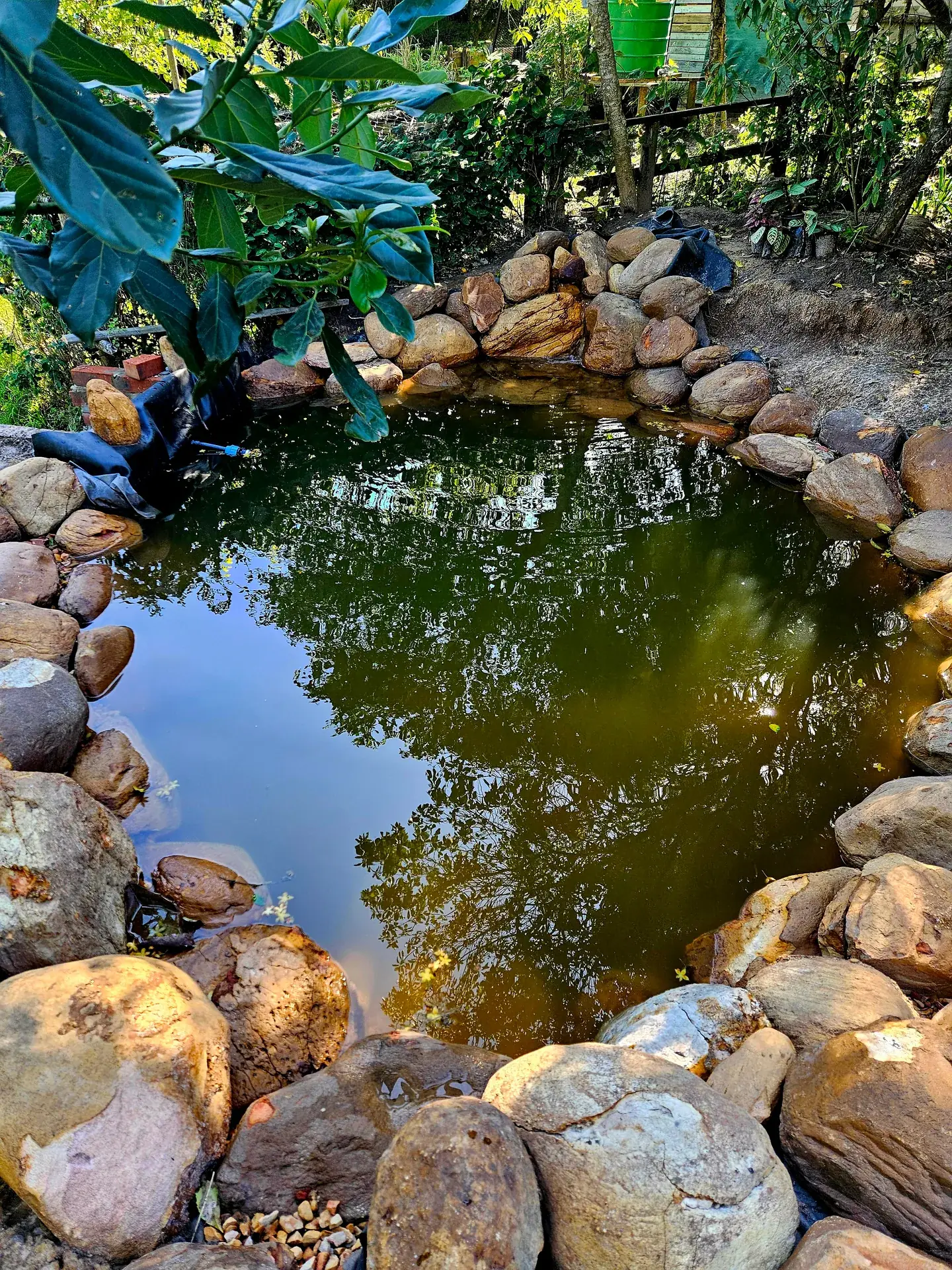 Off-Grid Solar Systems: Garden Route Installation Guide