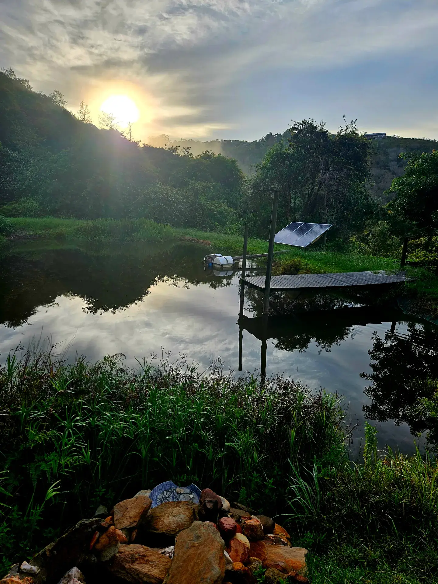 The Complete Off-Grid Living Guide for George, South Africa