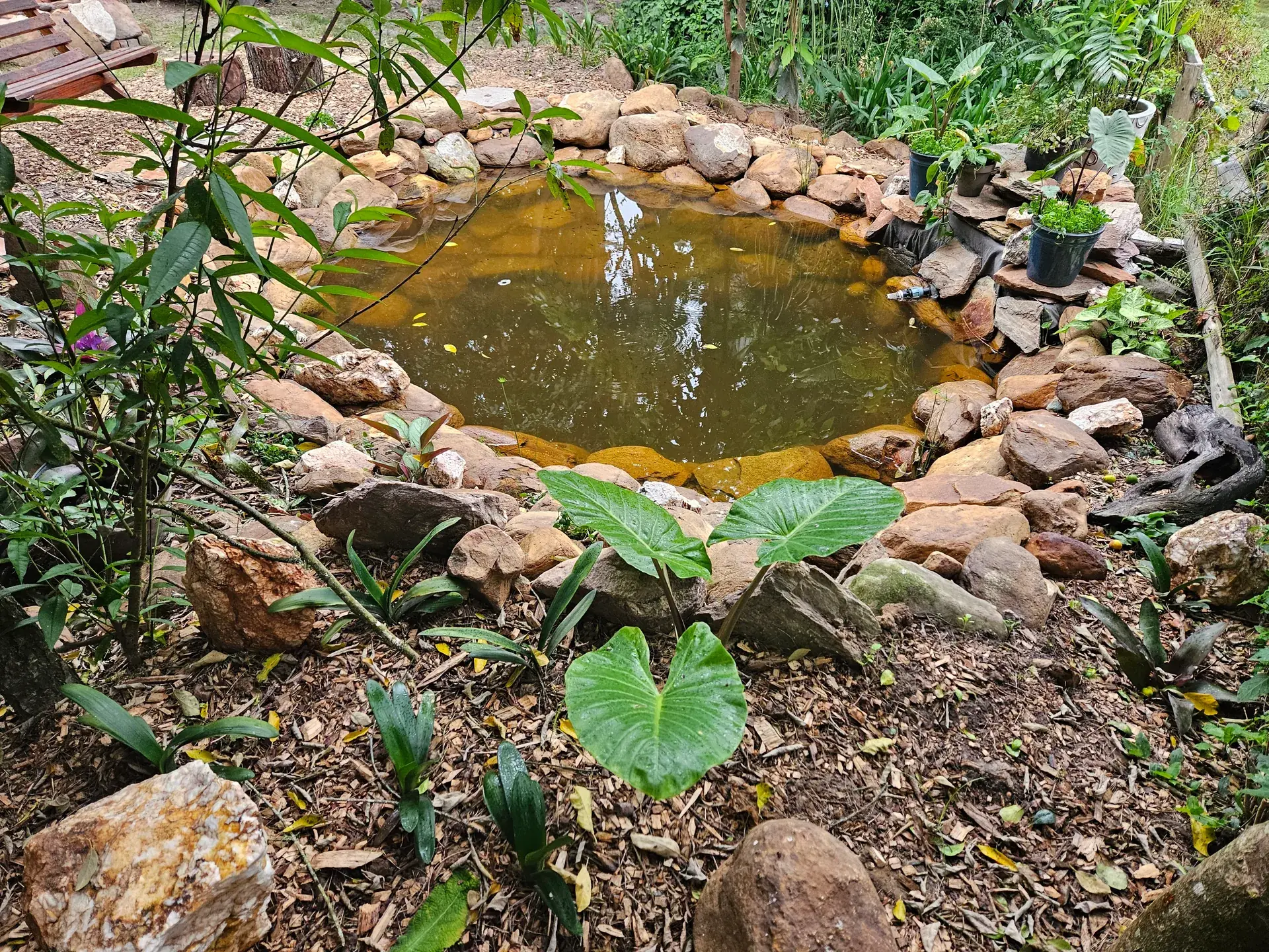 Waste Treatment project 4