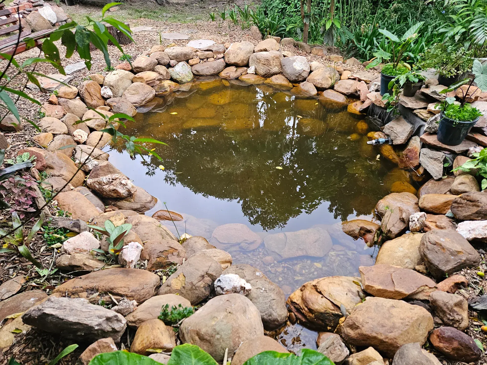 Rainwater Harvesting in the Garden Route: Complete Homeowner Guide