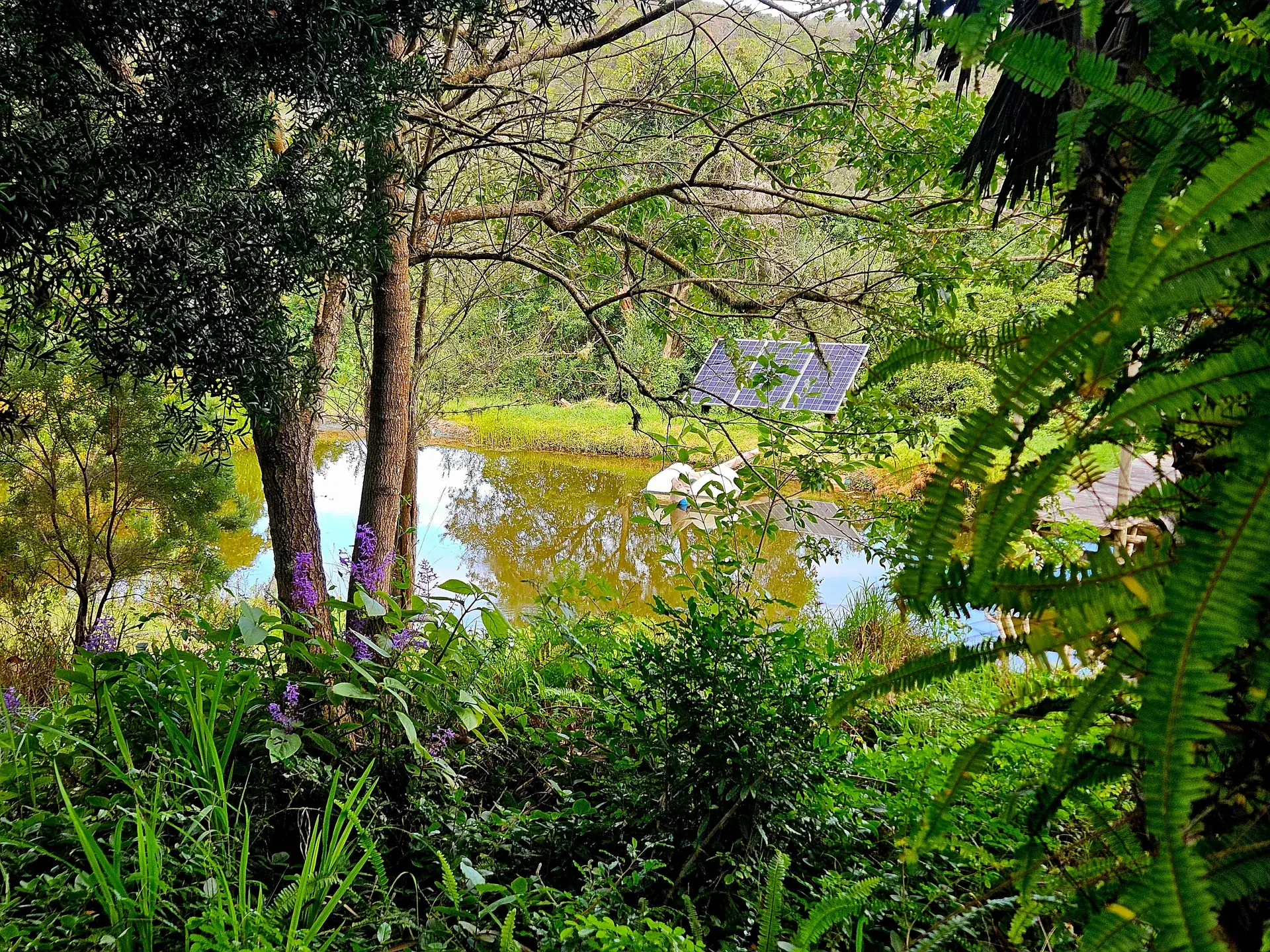 Water Management project 1
