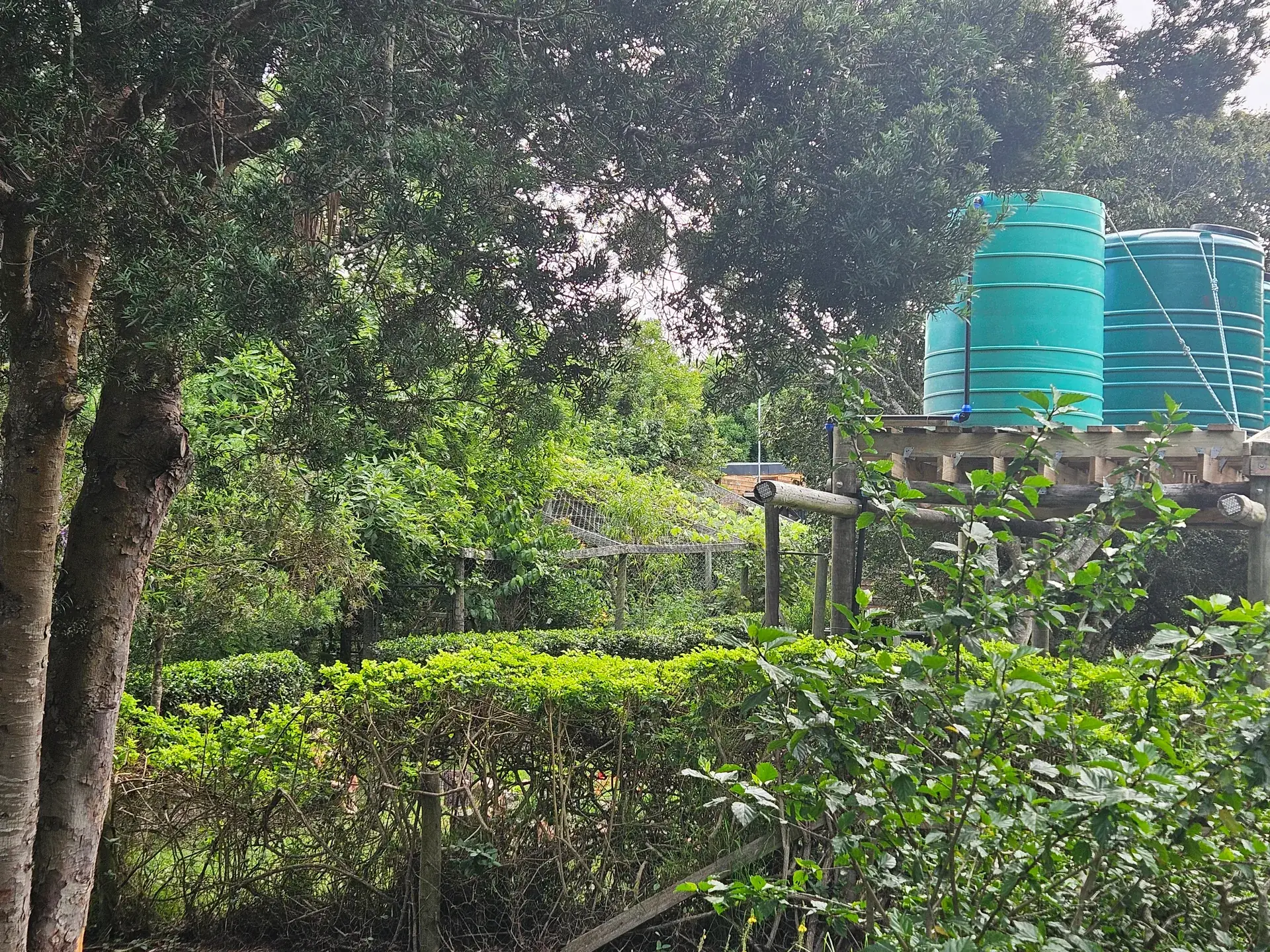 Water Management project 4